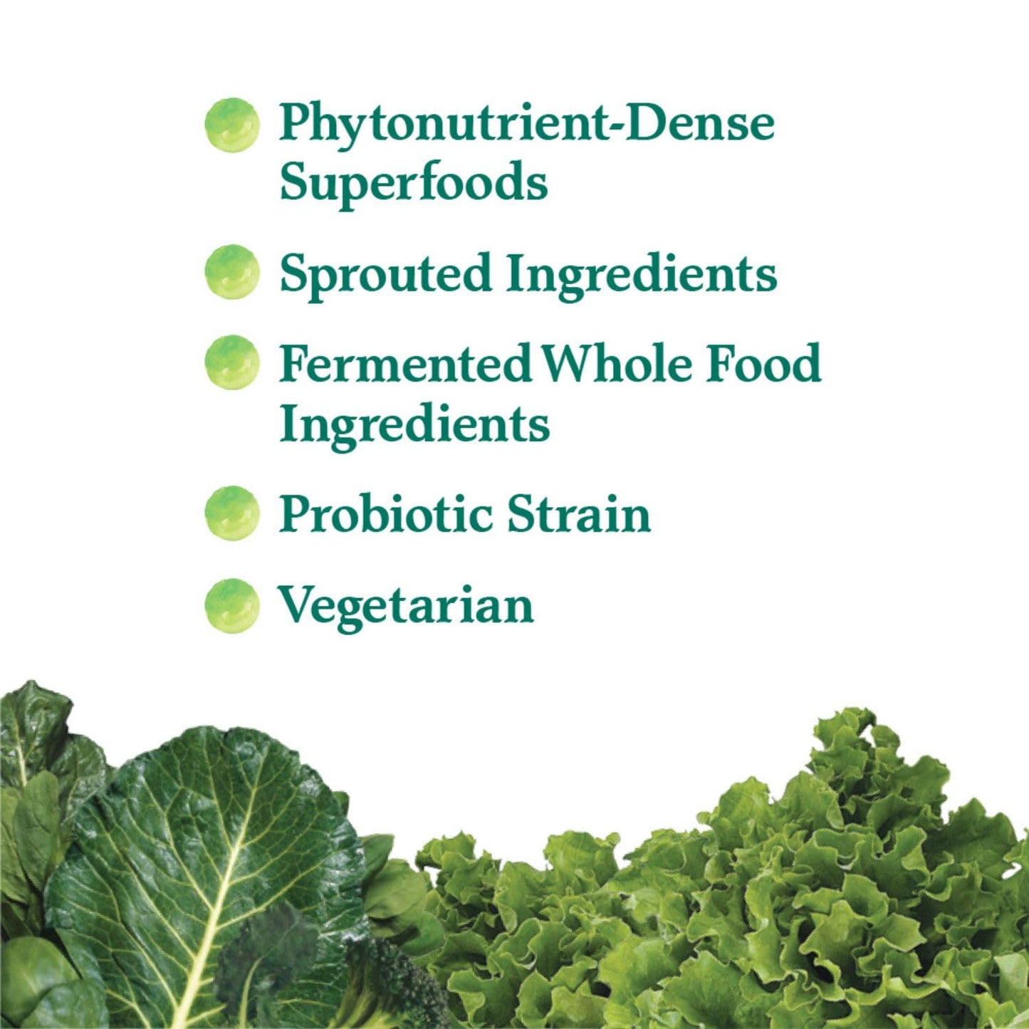 Garden of Life Perfect Food Original Super Green Formula - 30 Servings | 45 Superfoods, Greens, Sprouts Plus HSO Probiotics, Enzymes & Ionic Plant Based Minerals - Juiced Superfood Powder Supplement