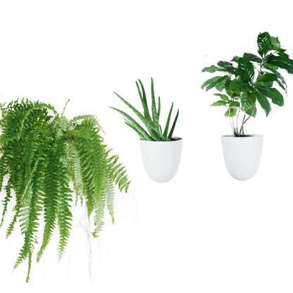 PlantPod Luxe Self-Watering Wall Planters (Set of 3) - Easy to Water and Install - Lightweight - Design Your Own Vertical Garden - Wall Planters for Indoor Plants