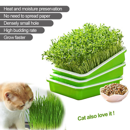 LeJoy Garden Seed Sprouter Tray BPA Free PP Soil-Free Big Capacity Healthy Wheatgrass Grower with Lid Sprouting Kit 13.4x9.84x4.72 inches