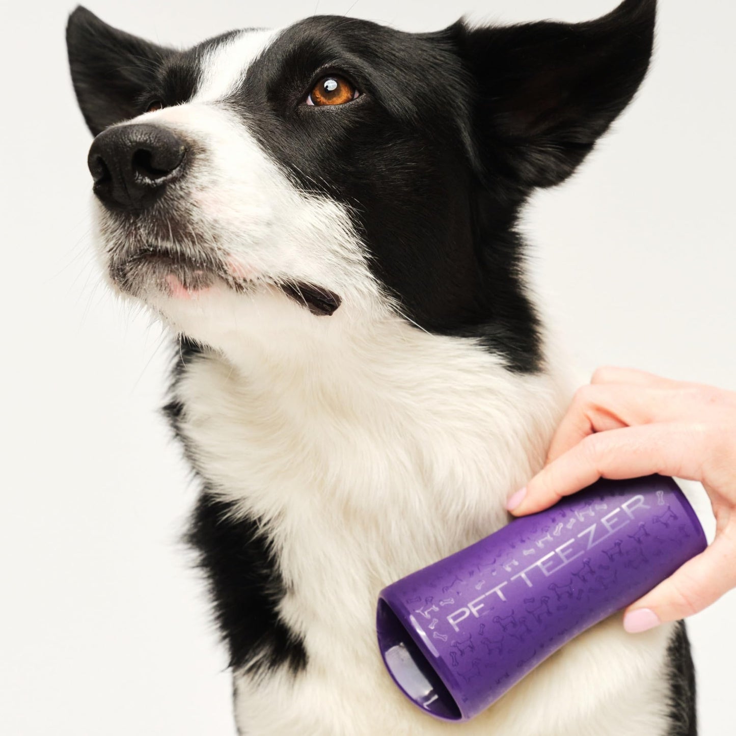 Pet Teezer De-Shedding Dog Brush by Tangle Teezer, Dog Grooming Tool for Long Haired Breeds and Wet or Dry Fur, Large, Purple & Gray