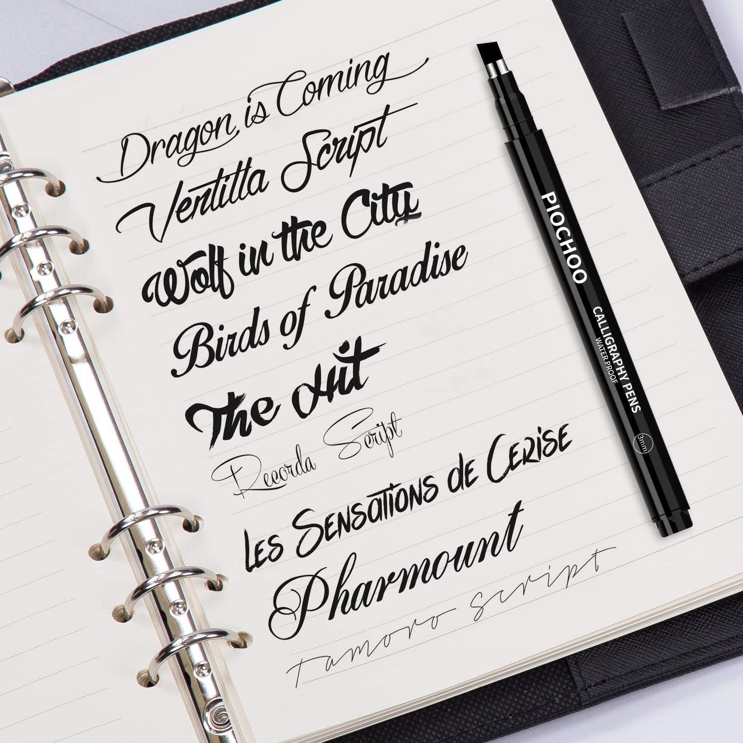 Piochoo Calligraphy Pens,8 Size Calligraphy Pens for Writing,Brush Pens Calligraphy Set for Beginners, Hand Lettering Pens