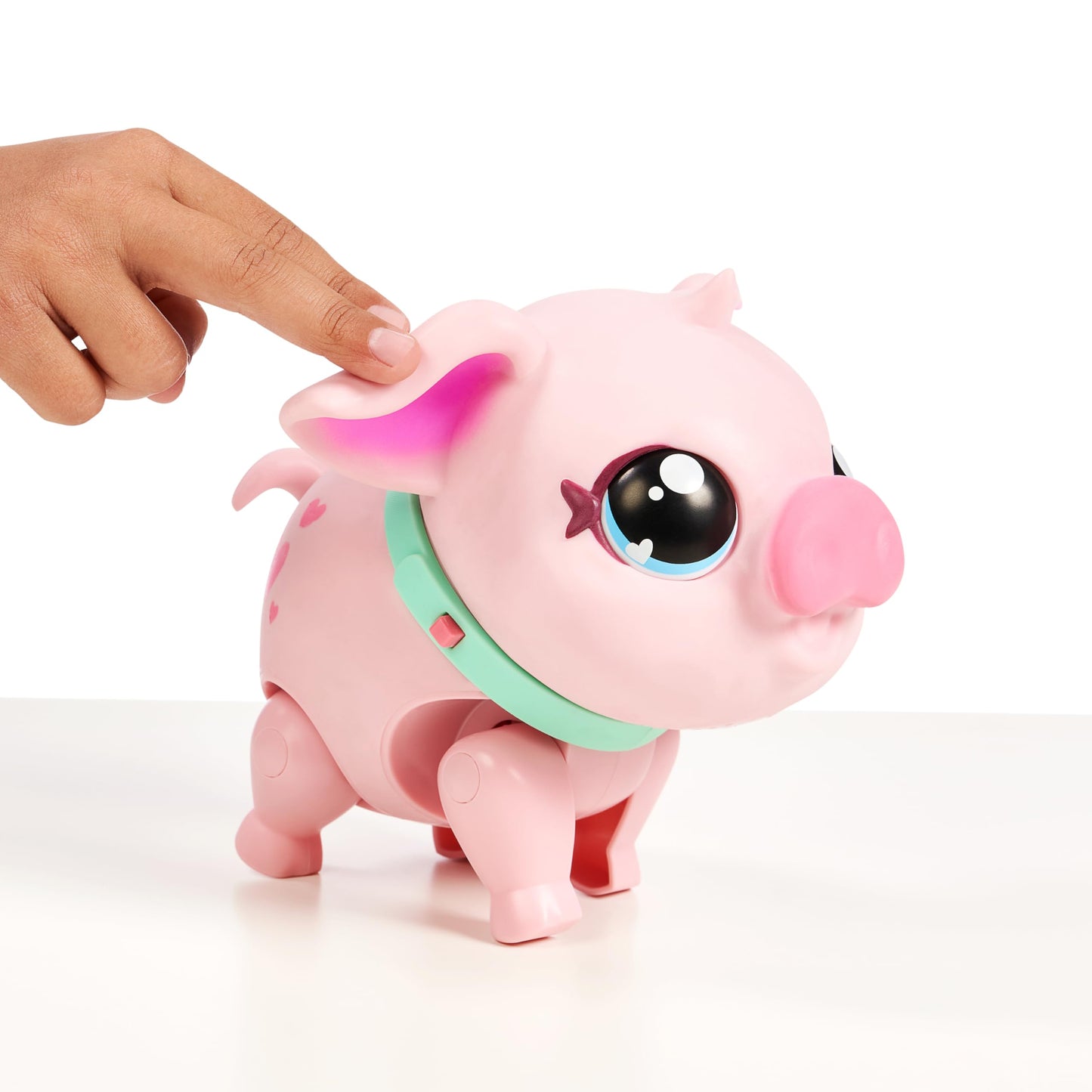 Little Live Pets My Pet Piggly The Toy Pig, Interactive Walking Pig Toy with 25+ Sounds and Detachable Leash, Pigs Toys for Kids of Ages 5+