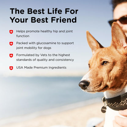 Nutri-Vet Hip & Joint Regular Strength Chewable Dog Supplements, Formulated with Glucosamine Chondroitin, Pet Supplies, Joint Supplement for Dogs, Puppy Essentials, 120 Count