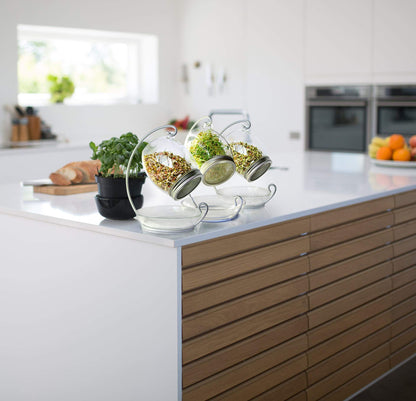 ALCEDIA Premium Sprouting Jar Kit - Unique 30 oz Wide Mouth Sprouting Jar, Stand, Tray and 316 Stainless Screen Lid | Decorative Indoor Seed Sprouter and Germinator (1 Kit)