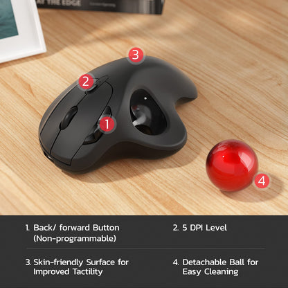 Nulea M501 Wireless Trackball Mouse, Rechargeable Ergonomic, Easy Thumb Control, Precise & Smooth Tracking, 3 Device Connection (Bluetooth or USB Receiver), Compatible for PC, Laptop, Mac, Windows.