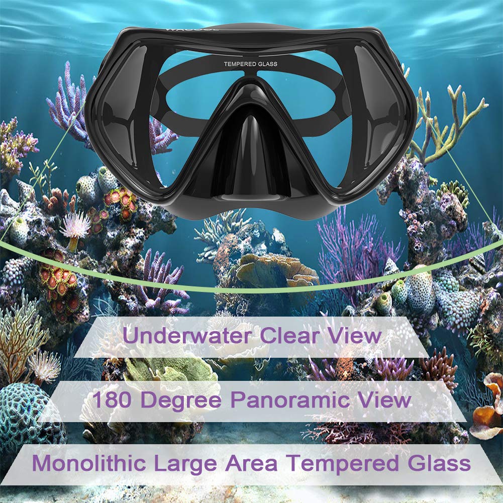 WACOOL Professional Snorkeling Snorkel Diving Scuba Package Set with Anti-Fog Coated Glass Purge Valve and Anti-Splash Silicon Mouth Piece for Men Women (Adults,Black)