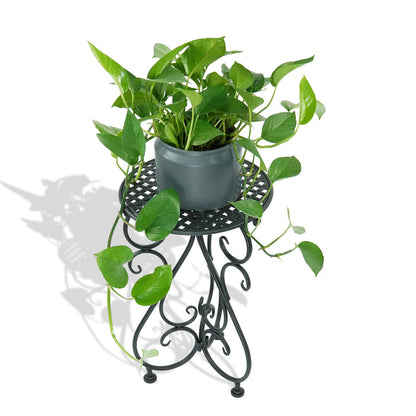 NAKUPE Metal Plant Stand, Heavy Duty Flower Pot Stand 17" Tall, Single Planter Holder for Indoor, Outdoor, Garden, Patio, Porch, Balcony, Home Decor, Black(1 Pack)