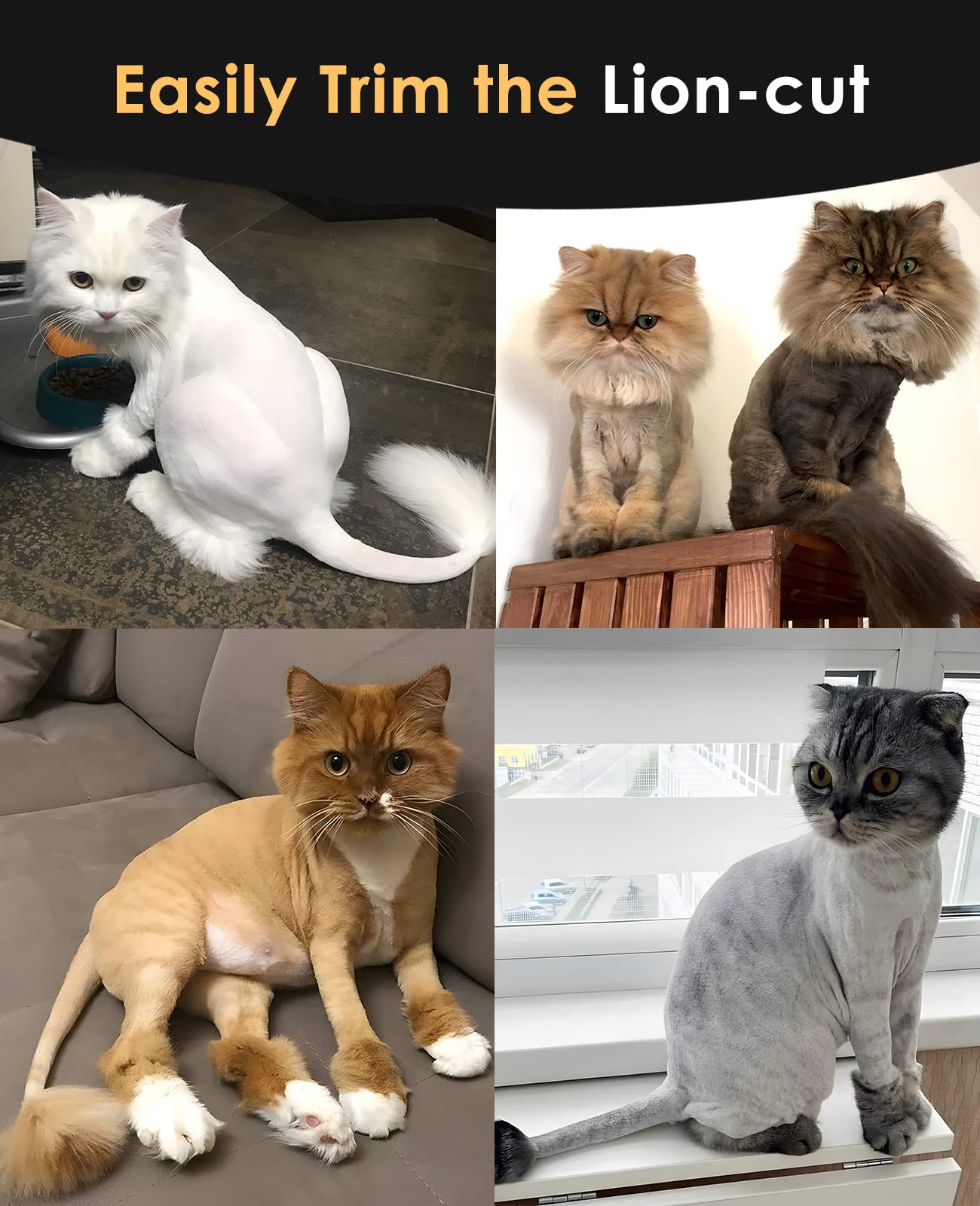 oneisall Quiet Cat Clippers for Matted & Long Hair, 2-Speed Cordless Pet Shaver Grooming Kit for Cats, Small Dogs & Animals (Black)