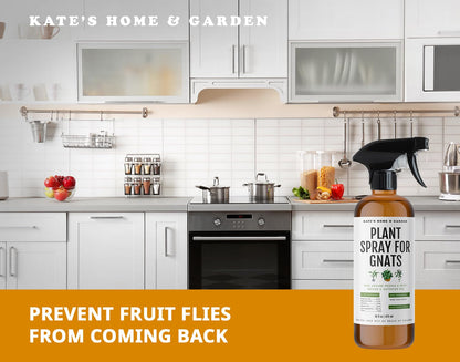 Kate's Home & Garden Plant Spray for Insects & Getting Rid of Gnats with 12 Sticky Traps. Fungus Gnat Killer & Bug Spray for Indoor Plants (16oz, Pet Safe, Non Toxic)