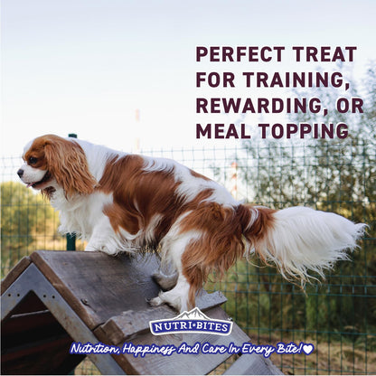 NutriBites Freeze Dried Beef Recipe Dog & Cat Treats, 4oz | Healthy Pet Training Treats or Food Topper | All Natural, Single Ingredient, High Protein | Great for Puppy, Small, Medium, or Large Breeds