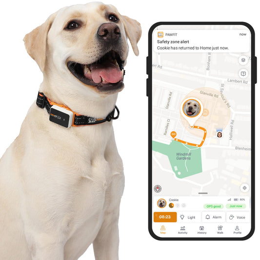 Pawfit 3 GPS Pet Tracker GPS Dog Tracker 4G Live Tracking, Smart Alerts, Fully Waterproof Activity Monitor for Pets, Unlimited Range, Remote Voice Recall, Fits All Collars, 30 Day Free Subscription
