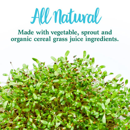 Garden of Life Perfect Food Original Super Green Formula - 30 Servings | 45 Superfoods, Greens, Sprouts Plus HSO Probiotics, Enzymes & Ionic Plant Based Minerals - Juiced Superfood Powder Supplement