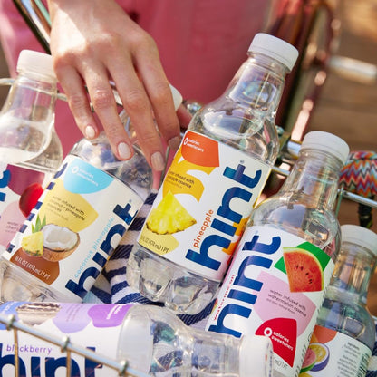 Hint Bottled Water, Smashup Variety Pack Bundle - Purified Flavored Water with Zero Calories, Sugar Free, Natural Flavors - 16 Fl Oz (Pack of 36)