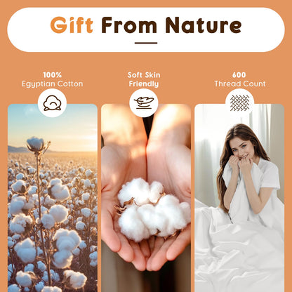 LBRO2M 100% Cotton Sheets Set Queen Size 600 Thread Count 4 Piece Sets Bed Sheet Deep Pocket Up to 16" Soft Comfortable All Season (Queen, White)