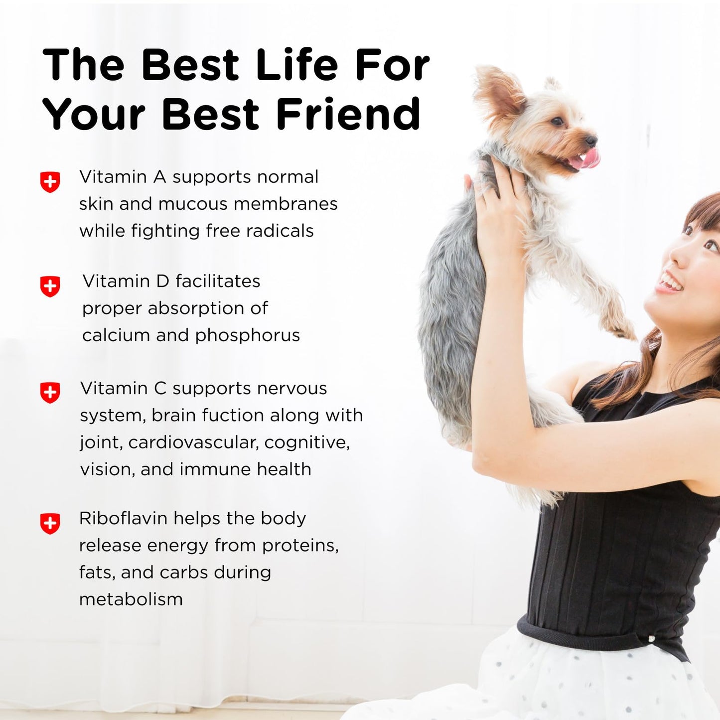 Nutri-Vet Multi-Vite Chewables for Adult Dogs, Daily Vitamin and Mineral Support, Potent Antioxidants, Supports a Balanced Diet, 120 Count