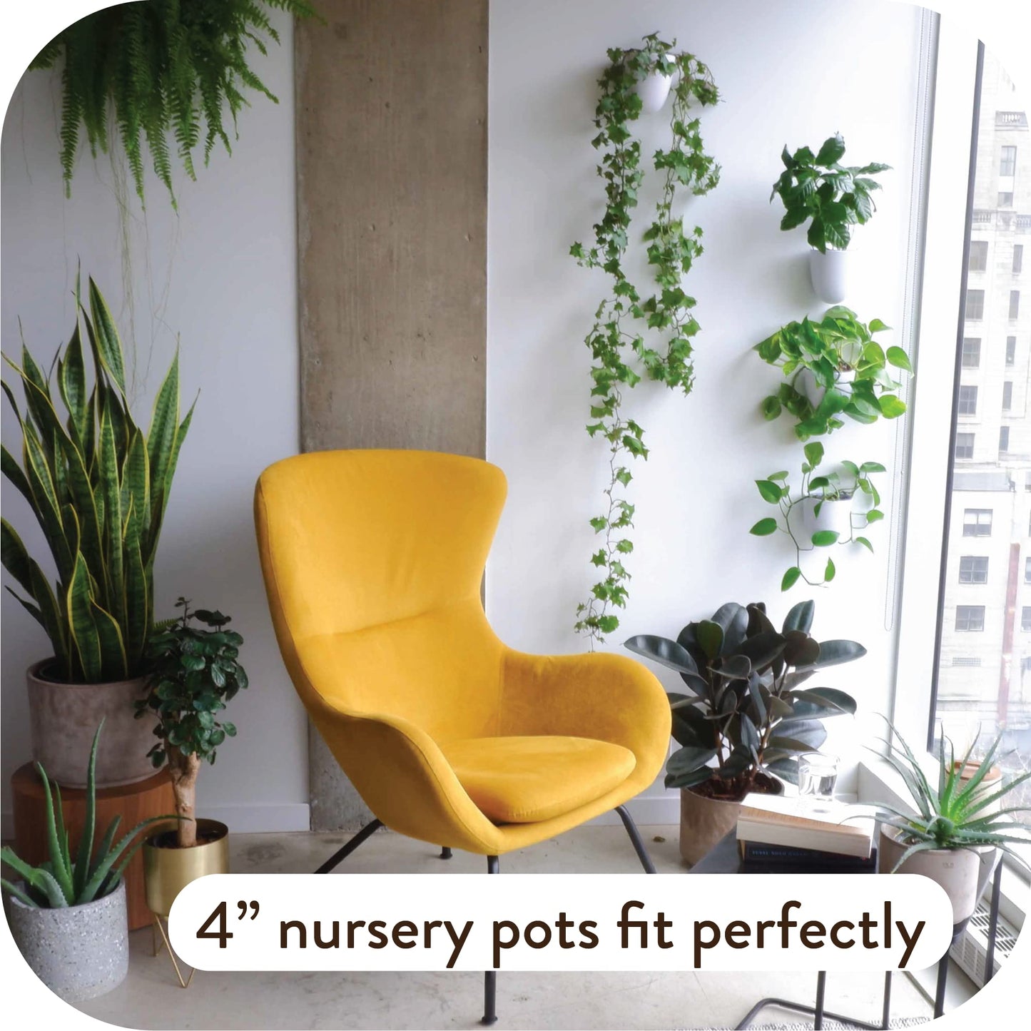 PlantPod Luxe - Self-Watering Wall Planters (Set of 6) - Easy to Water and Install - Lightweight - Design Your Own Vertical Garden - Wall Planters for Indoor Plants