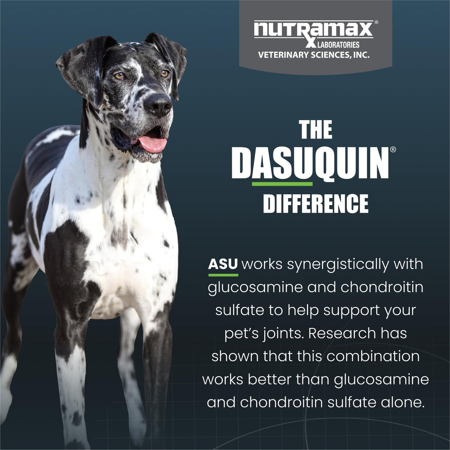 Nutramax Laboratories Dasuquin Joint Health Supplement for Large Dogs - With Glucosamine, Chondroitin, ASU, Boswellia Serrata Extract, and Green Tea Extract, 84 Soft Chews, DASL84SC
