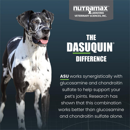 Nutramax Laboratories Dasuquin Joint Health Supplement for Large Dogs - With Glucosamine, Chondroitin, ASU, Boswellia Serrata Extract, and Green Tea Extract, 84 Soft Chews, DASL84SC