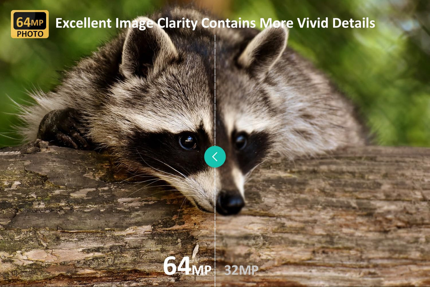 Meidase P70 Trail Camera, 64MP 1296p, Game Cameras with No-Glow IR Night Vision, Motion Activated, Waterproof for Wildlife Deer Cams, Hunting