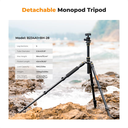 K&F Concept Camera Tripod，72" Aluminum Tripod for Camera, Lightweight and Foldable Travel Tripod with Remote& Extra Quick Release Plate, Professional Camera Tripod Monopod for DSLR Camera and Phone.