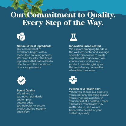 Nootropic Brain Supplement for Memory and Focus Support - Vitamins for Mental Health & Clarity with Bacopa Monnieri, VIT A, B6, Riboflavin, Niacin, Thiamin & Folate - Cognitive Complex - 90 Ct