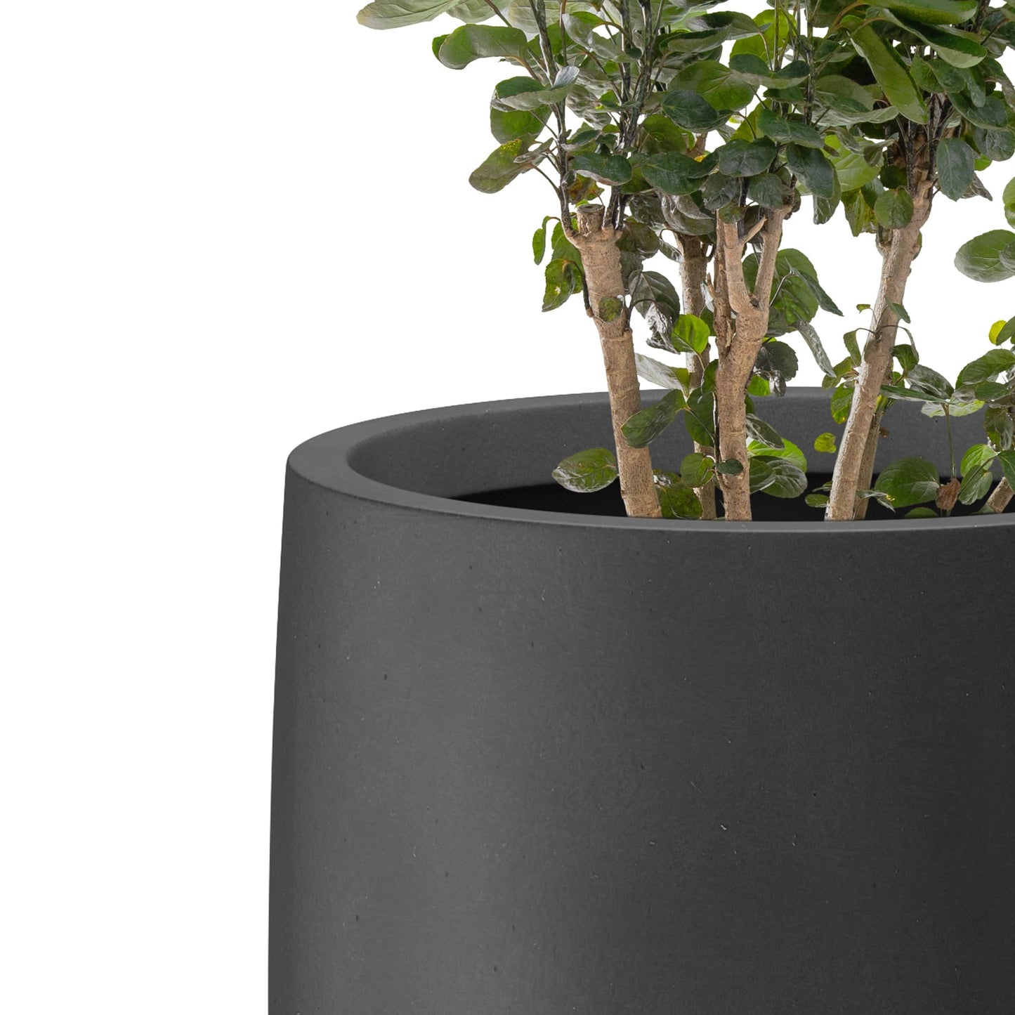 Kante 21.7" H Burnished Black Tall Planter, Large Outdoor Indoor Decorative Pot with Drainage Hole and Rubber Plug, Modern Round Taper Style for Home and Patio