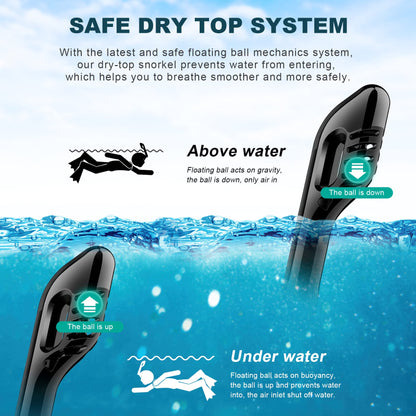 Zeeporte Dive Full Face Snorkel Mask, Snorkeling Gear for Adults Kids with Latest Dry Top Breathing System and Detachable Camera Mount, Foldable Mask with 180 Degree Panoramic View, Anti Leak&Fog