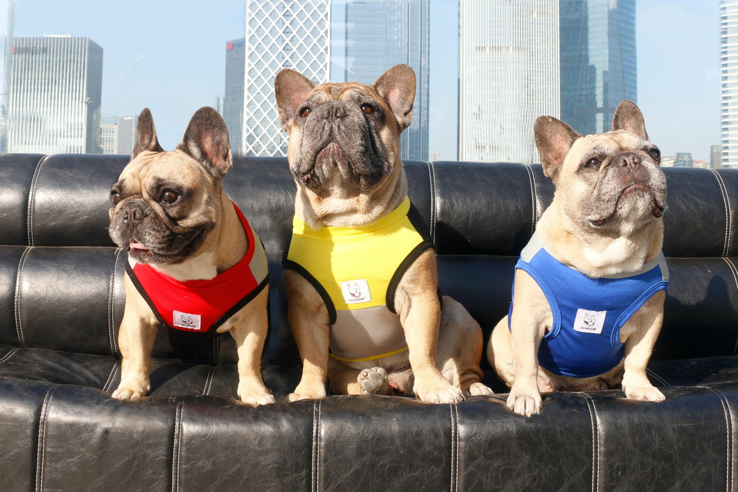 iChoue French Bulldog Summer Cooling Shirt for Dogs UV Sun Protection Vest Sleeveless Stretchy Tank Top English Pug Yellow Black - Large