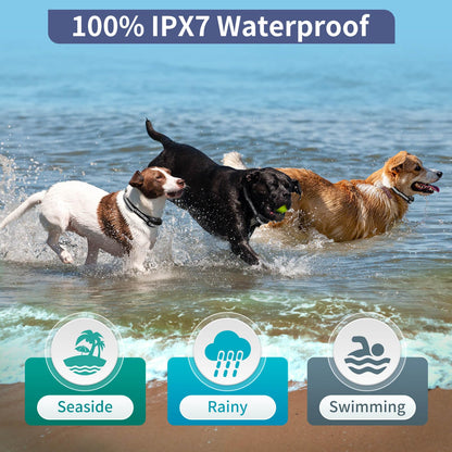 PetJoy 3 Dog Shock Collar for Large Dogs, Automatic Bark Collar with Remote, Bark and Training Collar Combo, Shock Collar with 5 Adjustable Levels of Sensitivity to Suit All Breeds of Dogs