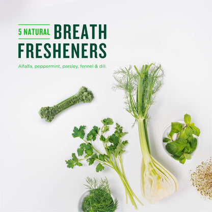 Minties Dental Chews for Dogs, 40 Count, Vet-Recommended Mint-Flavored Treats for Tiny/Small Dogs 5-24 lbs, Dental Bones Clean Teeth, Fight Bad Breath, and Removes Plaque and Tartar