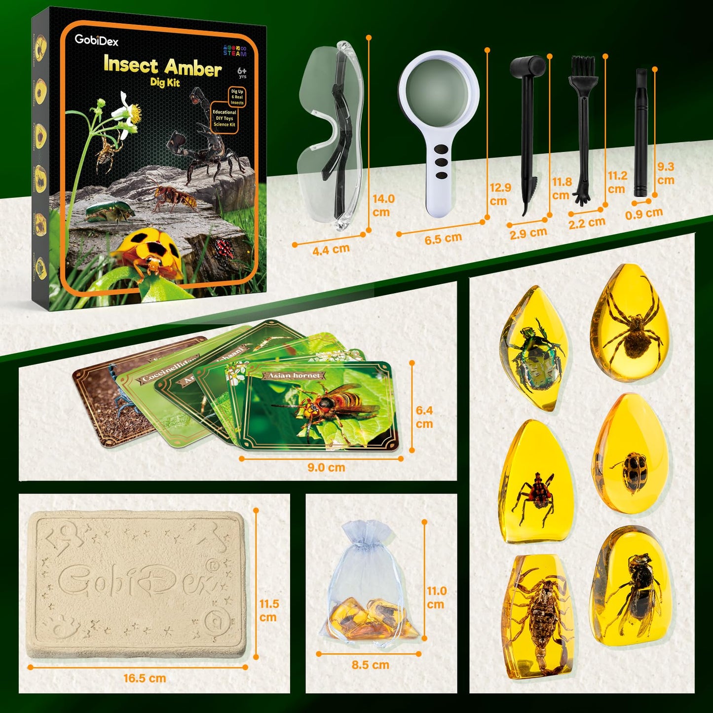 GobiDex Amber Dig Kit-Artificial Insect Resin, Excavate 6 Insects Specimens, STEM Geographic Educational Bugs Toys, Excavation Toys for Fun Bugs Party Favors, Science Kits for Kids Age 6-8 8-12
