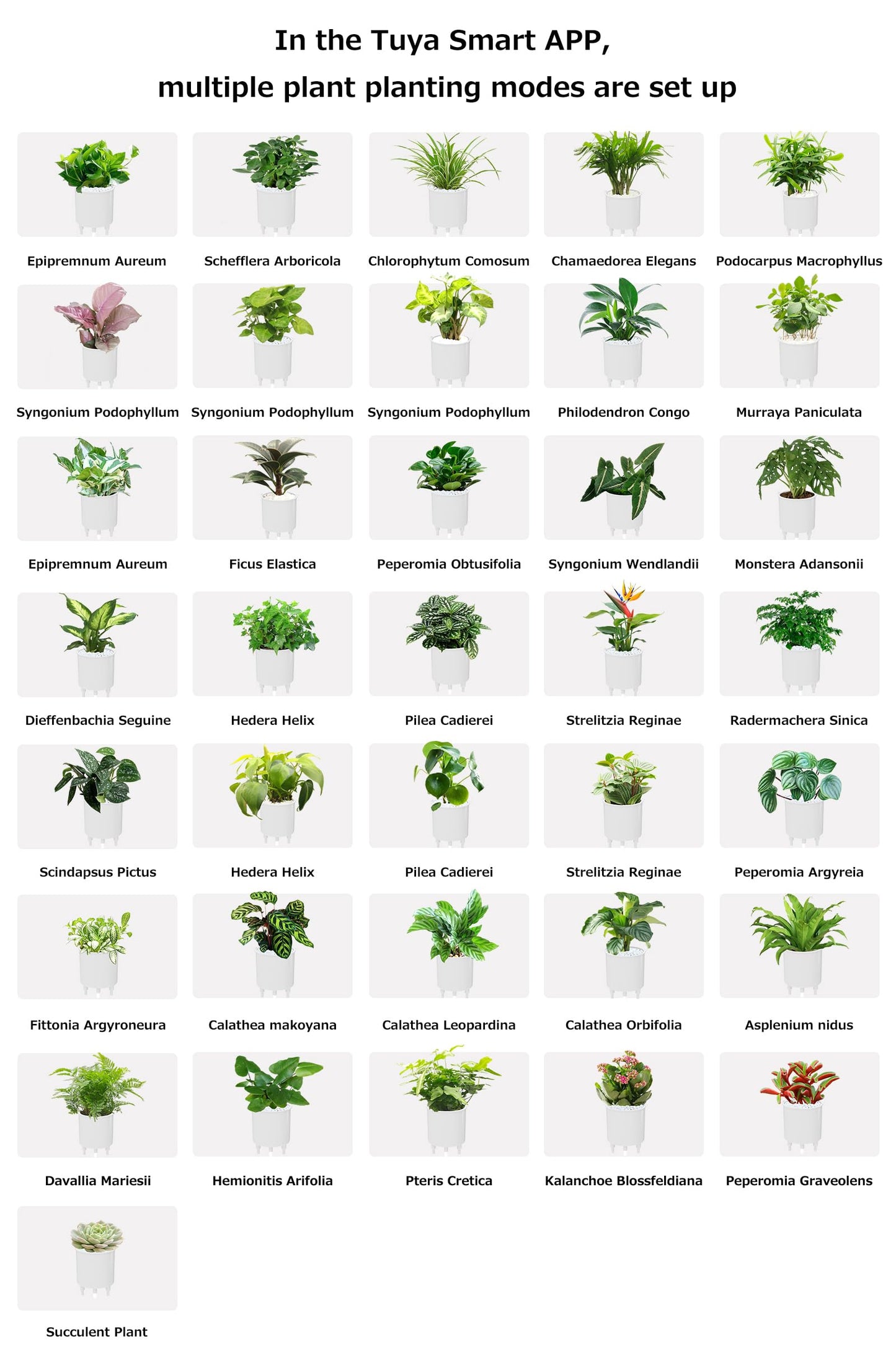 Itigoitie Smart Flowerpots,Smart Pet Planter,Ai Planter,Intelligent Flowerpots,Multiple Expressions,7 Smart Sensors, and Ai Chips Make Raising Plants Easy and Fun for Living Room,Plant-Free(Pink)