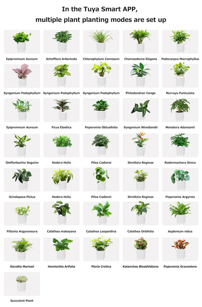 Itigoitie Smart Flowerpots,Smart Pet Planter,Ai Planter,Intelligent Flowerpots,Multiple Expressions,7 Smart Sensors, and Ai Chips Make Raising Plants Easy and Fun for Living Room,Plant-Free(Pink)