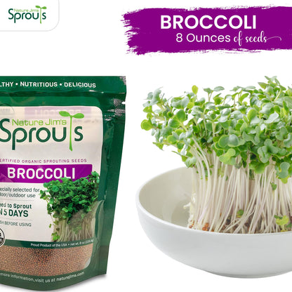 Nature Jims Sprouts Broccoli Sprout Seeds - Certified Organic for Indoor/Outdoor Use - Rich in Sulforaphane Healthy, Nutritious Broccoli Seeds Sprout in 5 Days - 8oz