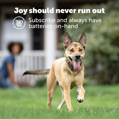 PetSafe Dog Collar Batteries (2 Pack) Dog Collar Battery Waterproof Lithium Metal Product, Rfa-67d-11