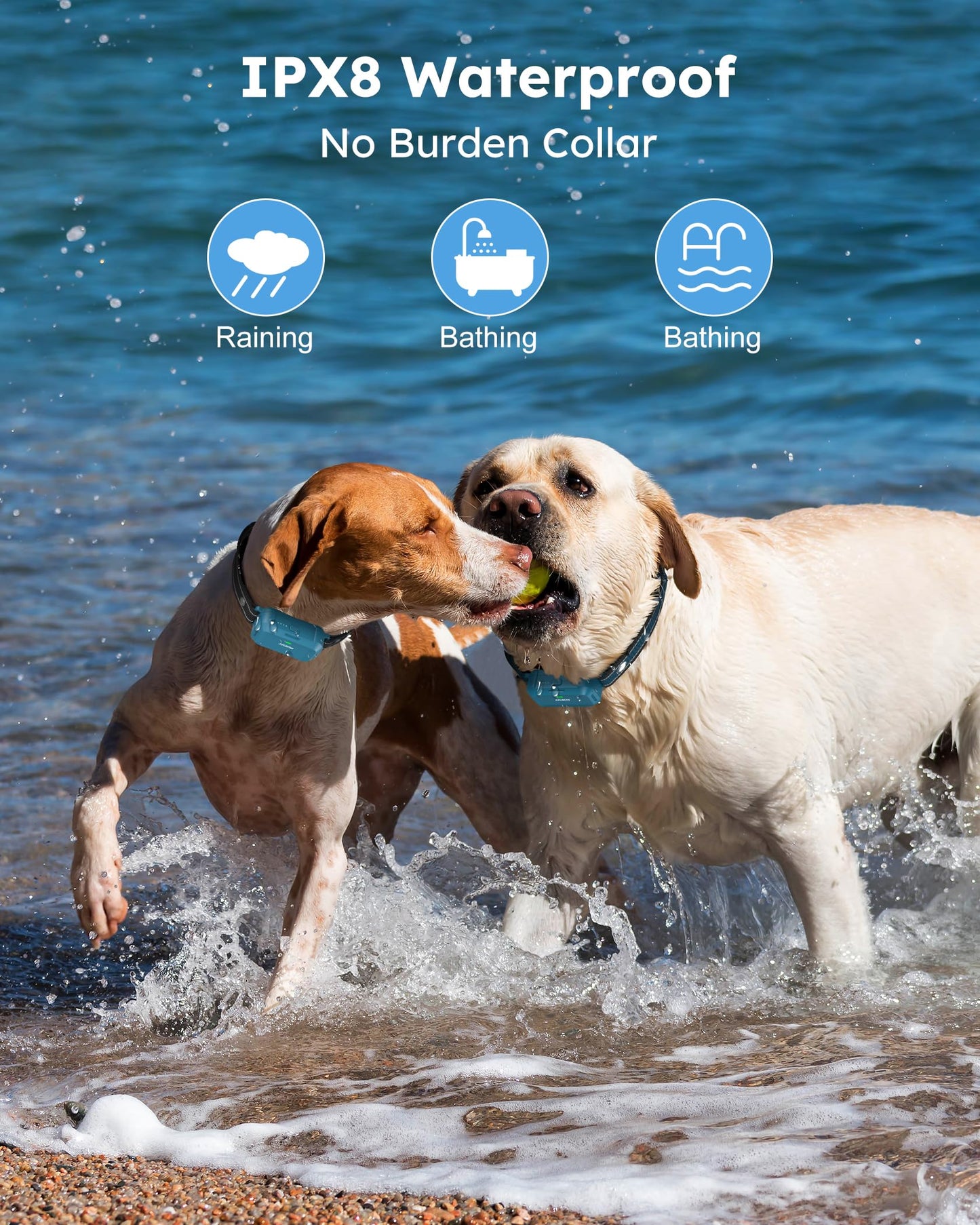 Jugbow Dog Shock Collar 2 Dogs - 4200FT Dog Training Collar with Remote, IPX8 Waterproof E Collar for Dogs Training, Rechargeable Collars for Dogs (10-120lbs)