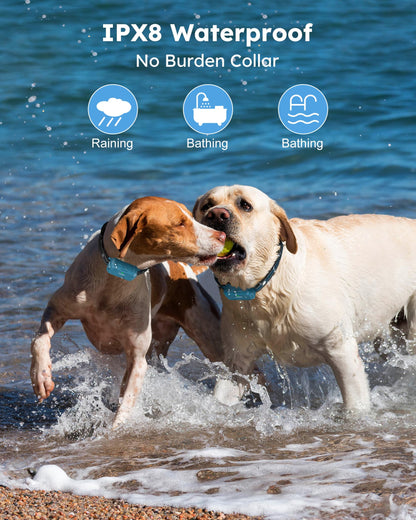 Jugbow Dog Shock Collar 2 Dogs - 4200FT Dog Training Collar with Remote, IPX8 Waterproof E Collar for Dogs Training, Rechargeable Collars for Dogs (10-120lbs)