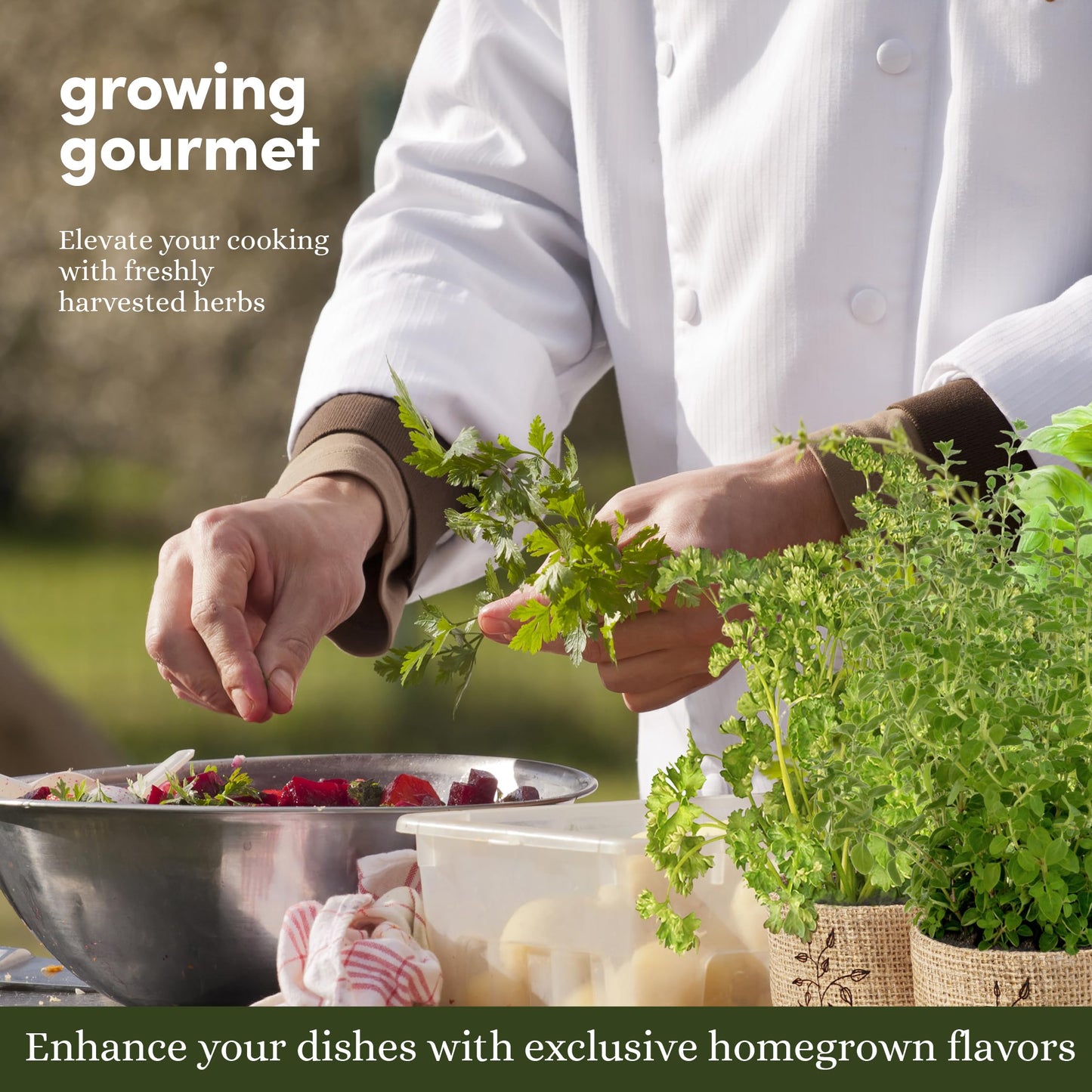 Planters' Choice 9 Herb Indoor Window Garden Kit - House Plants Seeds - Best Unique Gift Ideas for Women, Mom, Friend, Her, Birthday, Housewarming, Mother - New Home Kitchen Gifts - Live Plant Starter