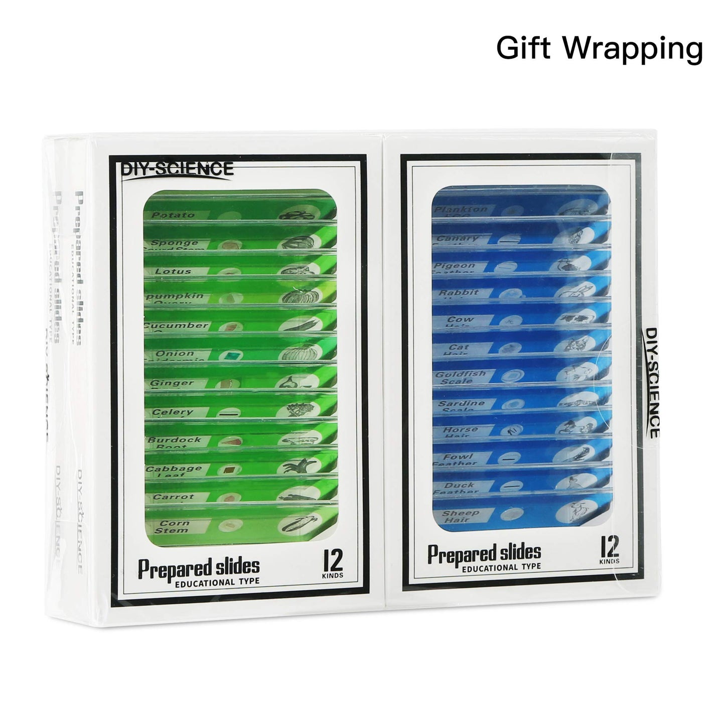 48 Prepared Microscope Slides Set of Animals Insects Plants Flowers, Biological Learning Resource Specimens for Kids Beginner Classroom Basic Science Education