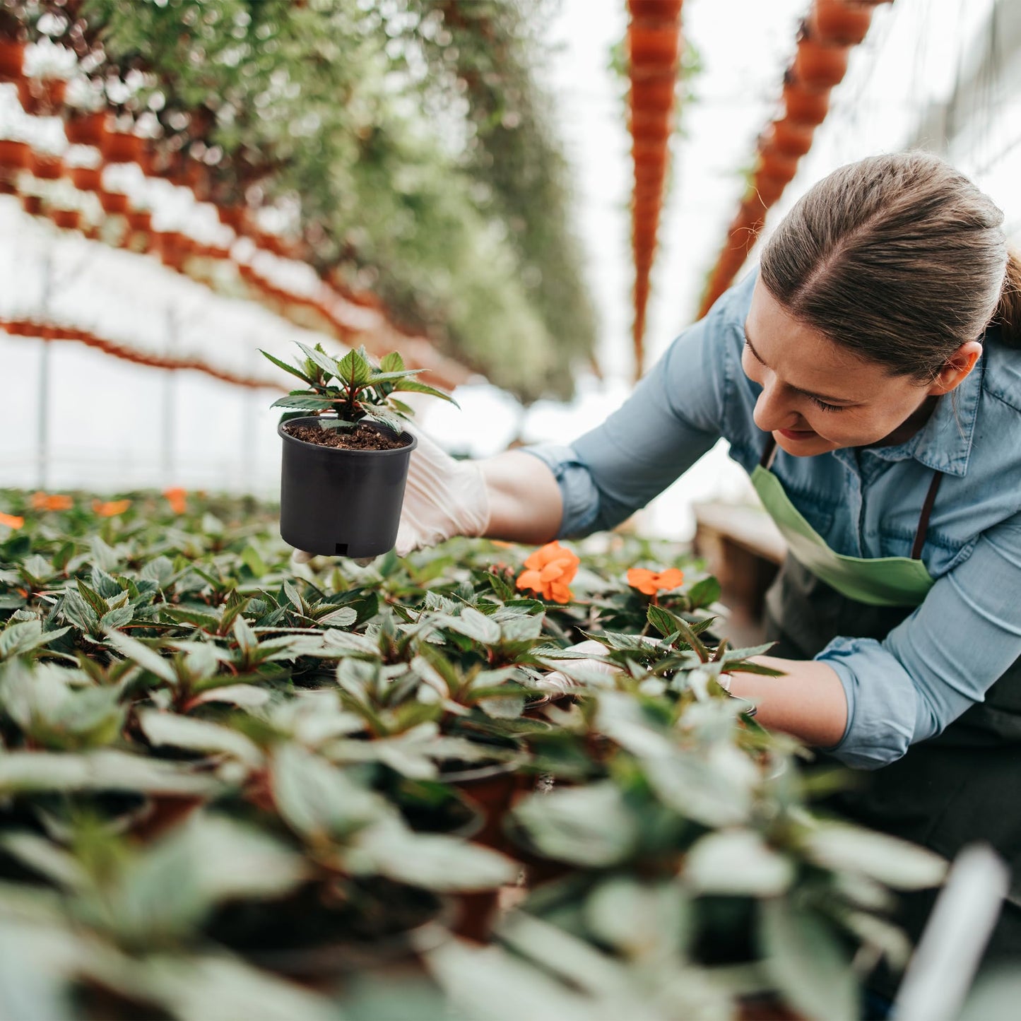 Pro Cal HGPK5PHD Round Circle 5 Gallon Wide Rim Durable Injection Molded Plastic Garden Plant Nursery Pot for Indoor or Outdoor (Set of 5)