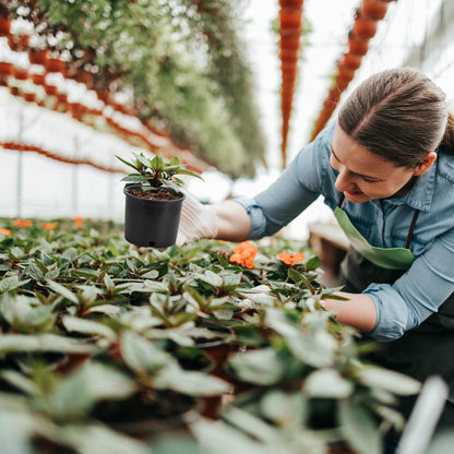 Pro Cal HGPK5PHD Round Circle 5 Gallon Wide Rim Durable Injection Molded Plastic Garden Plant Nursery Pot for Indoor or Outdoor (Set of 5)