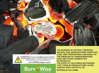 Lightning Nuggets N100SEB Super Economy Box Fire Starter , Tan Brown, 100 Count (Pack of 1)