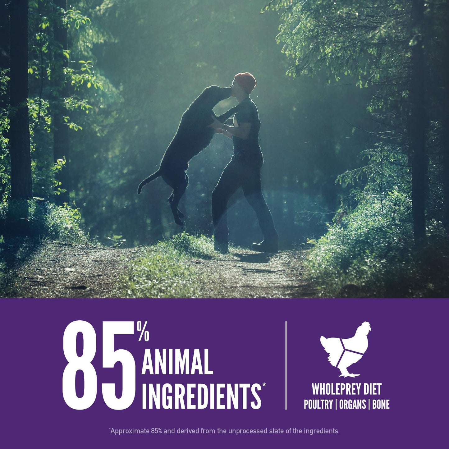 ORIJEN Grain Free High Protein Dry Dog Food Large Breed Adult Recipe 23.5lb Bag