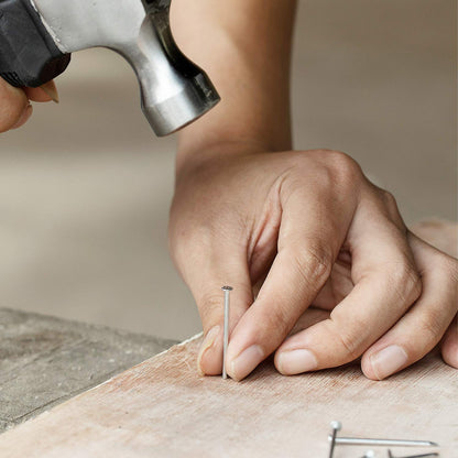 Mr. Pen- Nail Assortment Kit, 600 Pcs, 4 Sizes, Silver, Small Nails for Hanging Pictures, Finishing Nails, Gold Wall Nails for Hanging, Pin Nails, Hardware Nails, Assorted Nails, Galvanized Nails