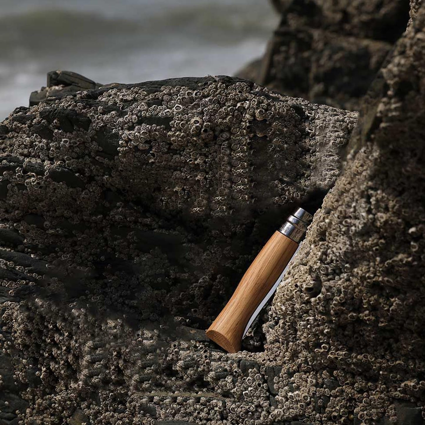 OPINEL No.06-No.09 Premium Woods, Stainless Steel Folding Pocket Knife, Made in France (No.06/Oak)