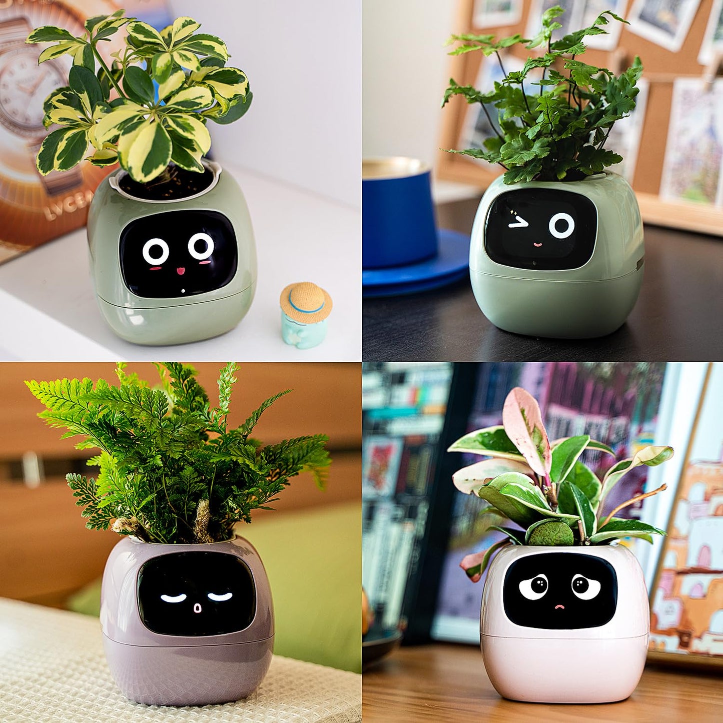 Masdio Smart Flowerpots, with Artificial Intelligence, Time Temperature Display, and Numerous Expressive Animations Based On The Environment, for Indoor Decoration, Gifts(White)