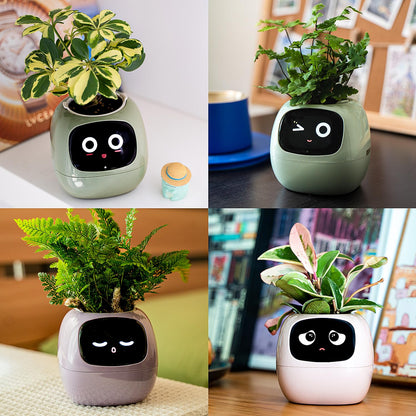 Masdio Smart Flowerpots, with Artificial Intelligence, Time Temperature Display, and Numerous Expressive Animations Based On The Environment, for Indoor Decoration, Gifts(White)