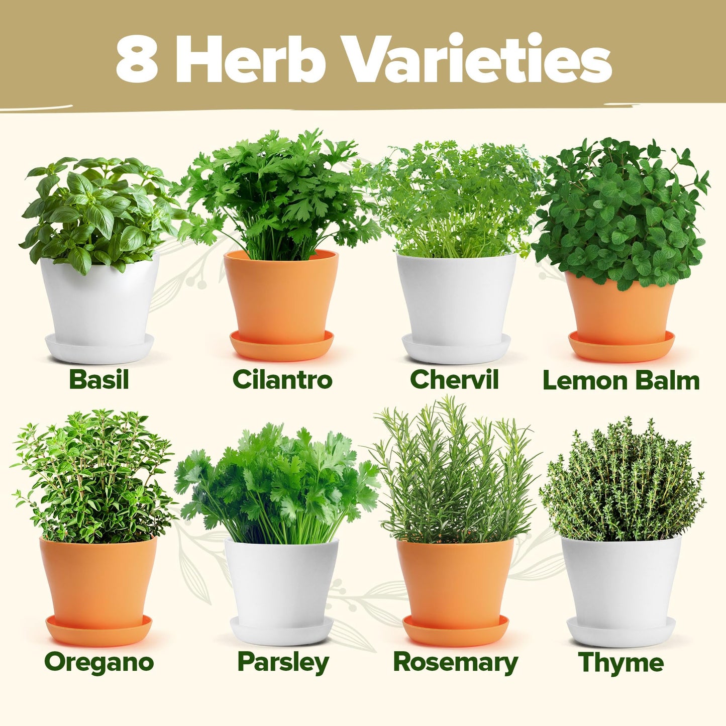 HOME GROWN 𝗣𝗥𝗘𝗠𝗜𝗨𝗠 𝗛𝗘𝗥𝗕 𝗞𝗜𝗧 8 Herb Seeds Garden Kit, Complete Indoor Planter Gift with Basil Cilantro Mint & More, Unique Kitchen Growing Set for Women Men, Birthday Housewarming Present