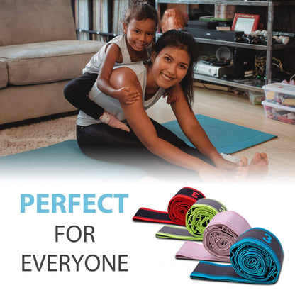 Fitter’s Niche Exercise Resistant Stretch Band, High Elastic Multi-Level Stretching Strap, Ideal for Tone Muscles Physical Therapy Gym Recovery Dancing Flexibility Hamstring,Bonus Carry Bag and E-book