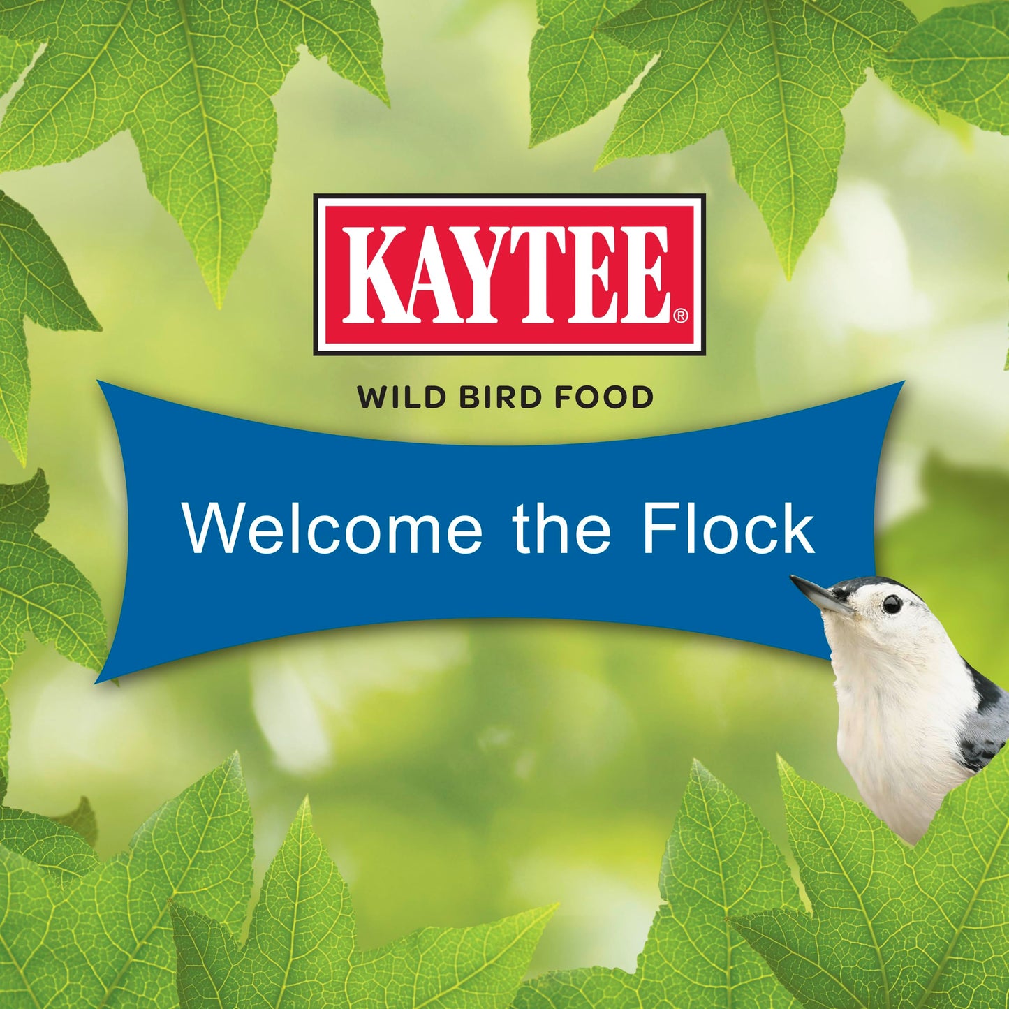 Kaytee Wild Bird Gourmet Seed Cake For Cardinals, Chickadees, Juncos, Titmice, Woodpeckers and More, 2 Pounds